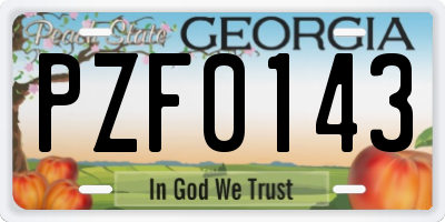 GA license plate PZF0143