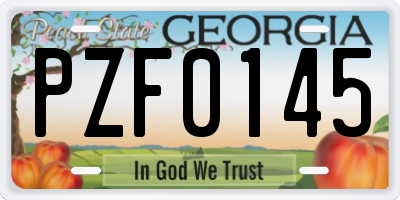 GA license plate PZF0145