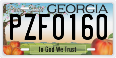GA license plate PZF0160