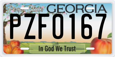 GA license plate PZF0167
