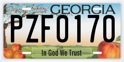 GA license plate PZF0170