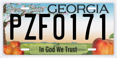 GA license plate PZF0171