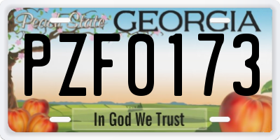 GA license plate PZF0173