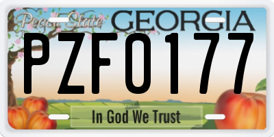 GA license plate PZF0177