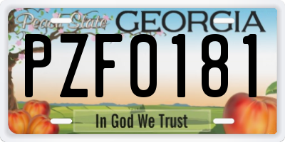 GA license plate PZF0181
