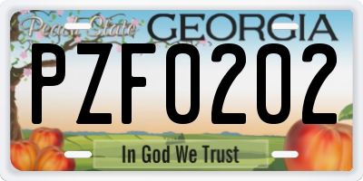 GA license plate PZF0202