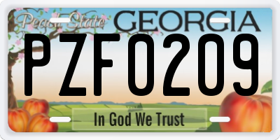 GA license plate PZF0209