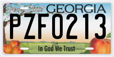 GA license plate PZF0213