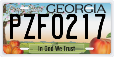 GA license plate PZF0217