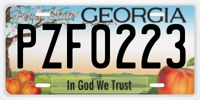 GA license plate PZF0223