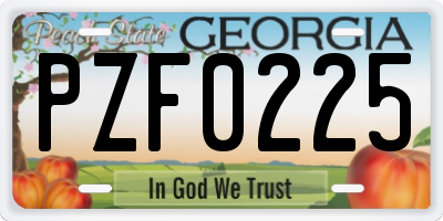 GA license plate PZF0225
