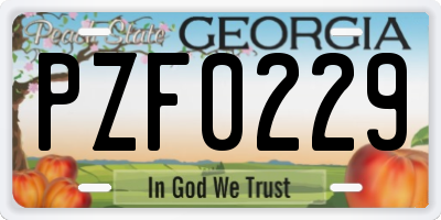 GA license plate PZF0229