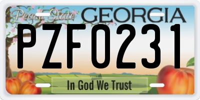 GA license plate PZF0231