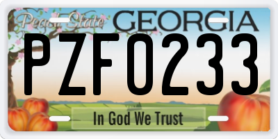 GA license plate PZF0233