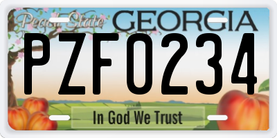 GA license plate PZF0234