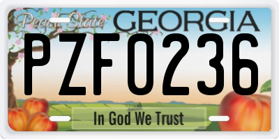 GA license plate PZF0236