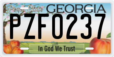 GA license plate PZF0237