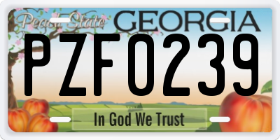 GA license plate PZF0239