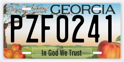GA license plate PZF0241