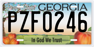 GA license plate PZF0246