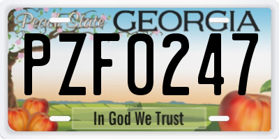 GA license plate PZF0247