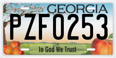 GA license plate PZF0253