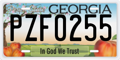 GA license plate PZF0255