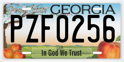 GA license plate PZF0256