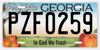 GA license plate PZF0259