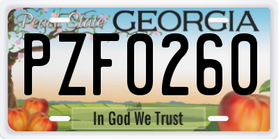 GA license plate PZF0260