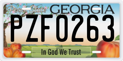 GA license plate PZF0263
