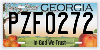 GA license plate PZF0272