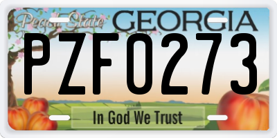 GA license plate PZF0273