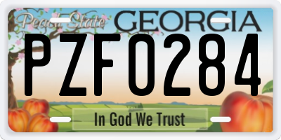 GA license plate PZF0284