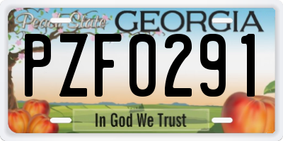 GA license plate PZF0291