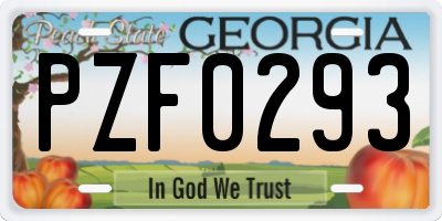 GA license plate PZF0293