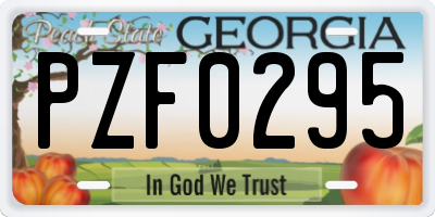 GA license plate PZF0295