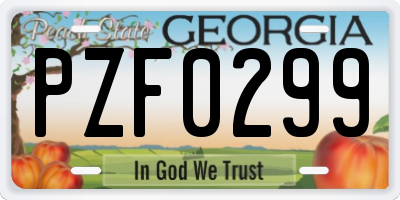 GA license plate PZF0299