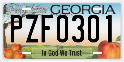 GA license plate PZF0301