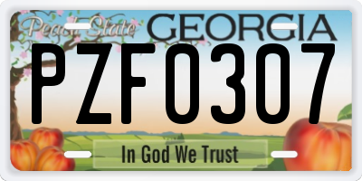 GA license plate PZF0307