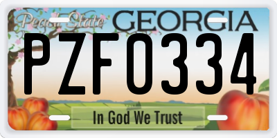 GA license plate PZF0334
