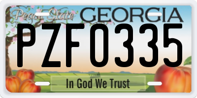 GA license plate PZF0335