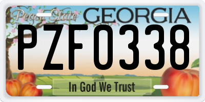 GA license plate PZF0338