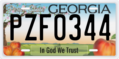 GA license plate PZF0344