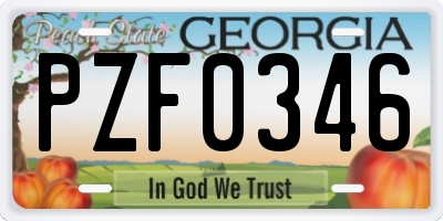 GA license plate PZF0346