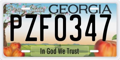GA license plate PZF0347