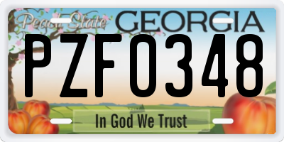 GA license plate PZF0348