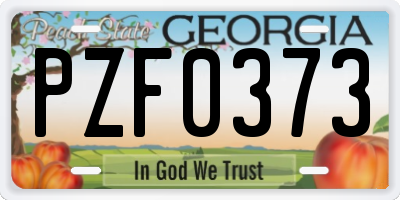 GA license plate PZF0373