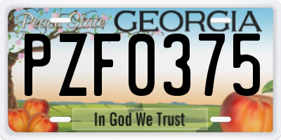 GA license plate PZF0375
