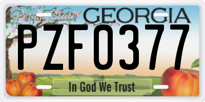 GA license plate PZF0377